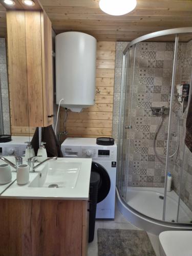 a bathroom with a sink and a shower and a sink at Domek pod Wierzbami in Leleszki