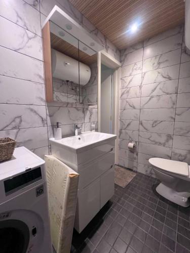 a bathroom with a sink and a toilet at Viskoosa Näkmani Apartment in Kõrgessaare