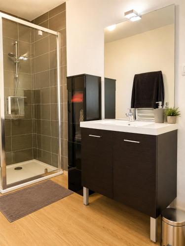 a bathroom with a sink and a shower at Apprt la teste de buch in La Teste-de-Buch