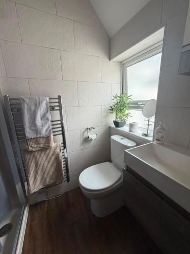 a bathroom with a toilet and a sink and a window at One Bed Flat Close to Station & River in Reading
