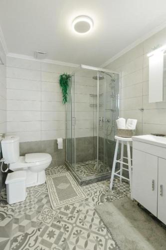 a bathroom with a shower and a toilet and a sink at Stella's Apartment in Karfas