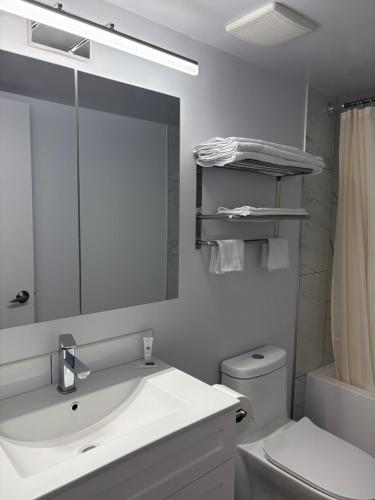 a bathroom with a sink and a mirror and a toilet at Rundle Inn and Suites in Edmonton