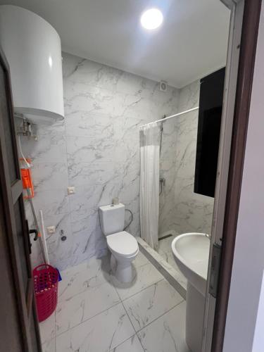 a white bathroom with a toilet and a sink at Nishkoiu Apartamente in Solotvyno