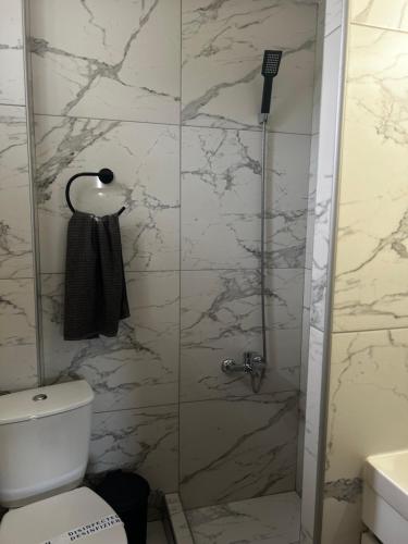 a bathroom with a shower with a toilet and a sink at Anna rooms ANTHOS GROUP in Nea Vrasna