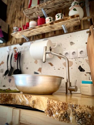 a kitchen counter with a bowl and a sink at Апартаменти Smereka in Yablunytsya