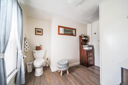 a bathroom with a toilet and a mirror at The Wrens Nest in Baltic