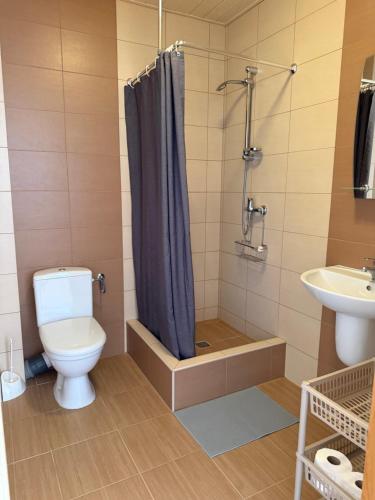 a bathroom with a toilet and a shower and a sink at Flota in Ostrowo