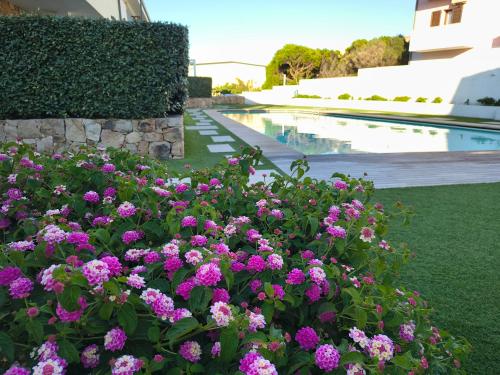 a garden with purple flowers next to a swimming pool at The pool house - Il Gabbiano in Palau
