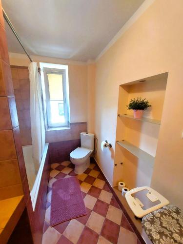 a small bathroom with a toilet and a window at Dom u Tosi pod Zatorem in Spytkowice