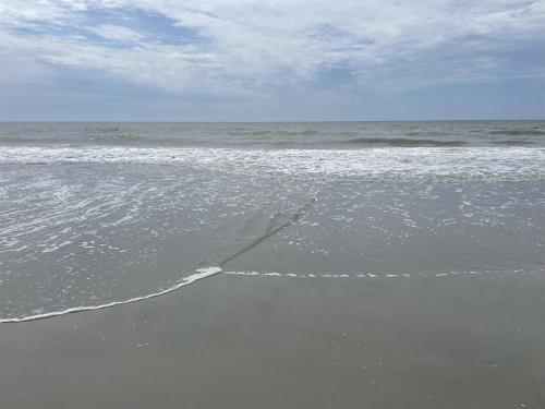 Beachside Condo - Sleeps 7! photo 47