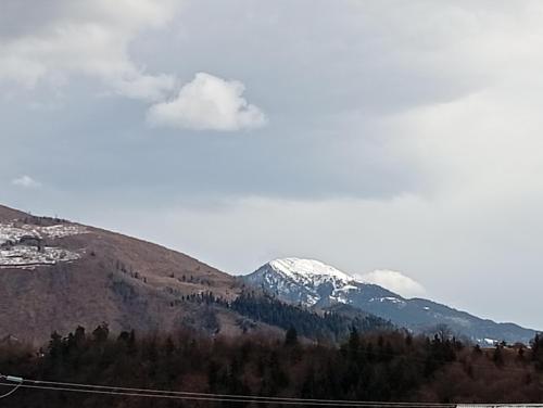 a snow covered mountain in the distance with trees at Borjomi Paradise in Borjomi
