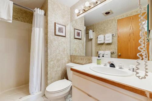 a bathroom with a sink and a toilet and a shower at South Peak Studio at Rivergreen in Lincoln
