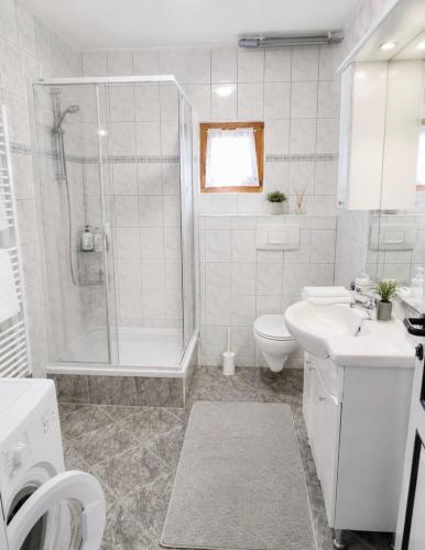 a bathroom with a shower and a toilet and a sink at Villa Dani in Bihać