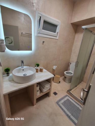a bathroom with a sink and a mirror and a toilet at Sunray Separate Villa in Skala Sotiros