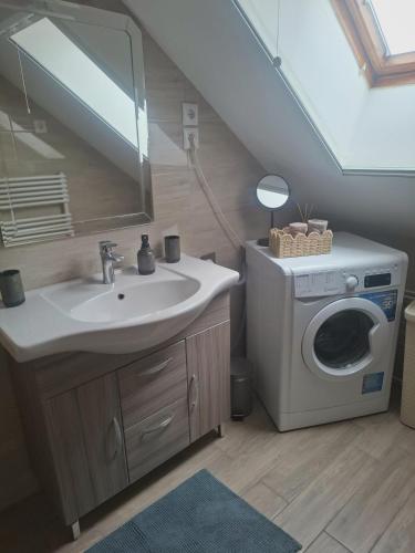 a bathroom with a sink and a washing machine at Green Home Apartman in Nemesvámos