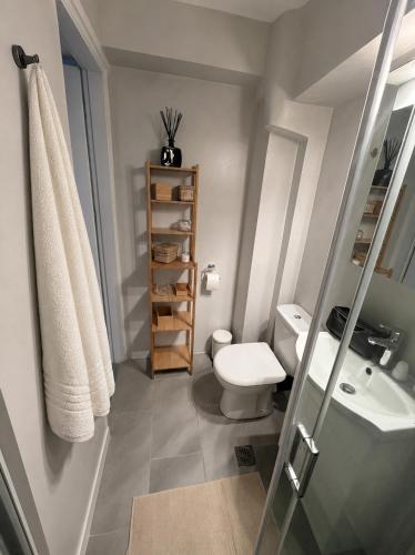a small bathroom with a toilet and a sink at Oceanview Vega in Sisi
