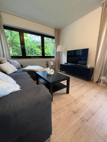 a living room with a couch and a flat screen tv at Ferienwohnung am Park in Brilon