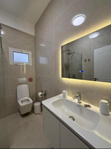 a bathroom with a sink and a toilet and a mirror at Nostos Palase in Dhërmi