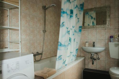 a bathroom with a shower and a sink and a toilet at Ostsee-Apartment Wolgast in Wolgast