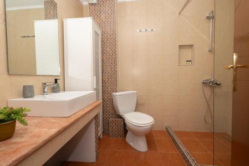a bathroom with a toilet and a sink and a shower at StefanoS Blue Horizon in Afitos