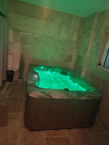 a bathroom with a jacuzzi tub in a room at Petit appartement avec jacuzzi in Bédarrides