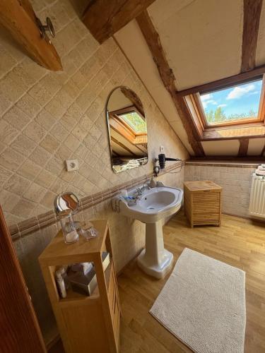 a bathroom with a sink and a mirror at En bord de rivière in Casseneuil