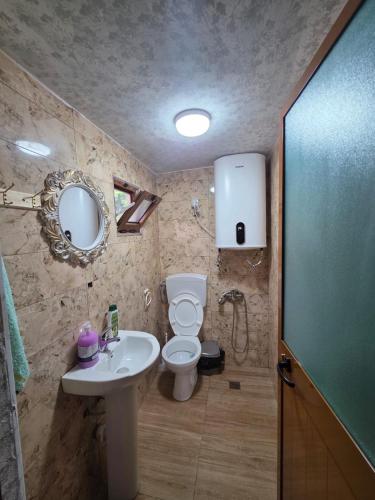 a bathroom with a white toilet and a sink at Visi Cabins Bogë in Bogë