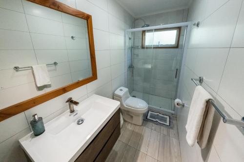 a bathroom with a sink and a shower and a toilet at Petricor Ecolodge Cab2 in Pucón