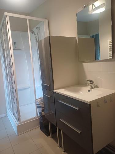 a bathroom with a sink and a shower at Studio a la campagne in Dissay