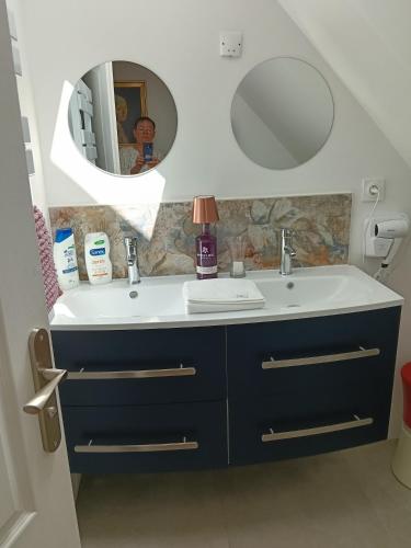 a bathroom with a sink and a mirror at Domaine le bas bois in Neuville-sur-Sarthe