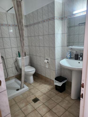 a bathroom with a toilet and a sink at MSK Studios in Nydri