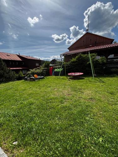 a yard with a barn and a field of grass at Apartmán Kocourkov in Jáchymov