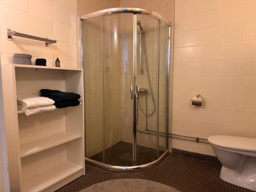 a shower with a glass door in a bathroom at Enkelheten i Kivik in Kivik