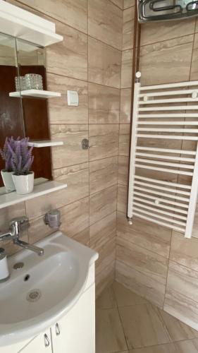 a bathroom with a sink and a shower at Djurdja Apartment in Arandelovac