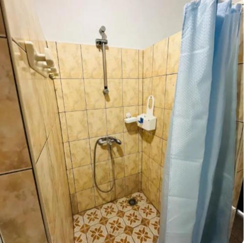 a bathroom with a shower with a toilet and a sink at F2 Tahiti Lagoon Stays in Punaauia
