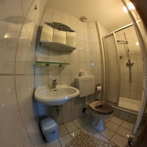 a bathroom with a sink and a toilet and a shower at Ferienwohnung Stechlin, Neuglobsow in Stechlin