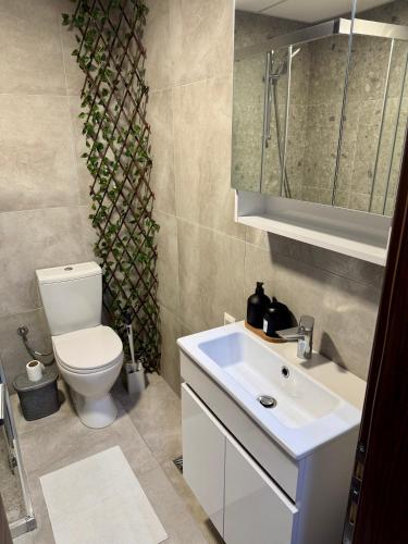 a bathroom with a white sink and a toilet at Skyline Apartment Skopje in Madžari