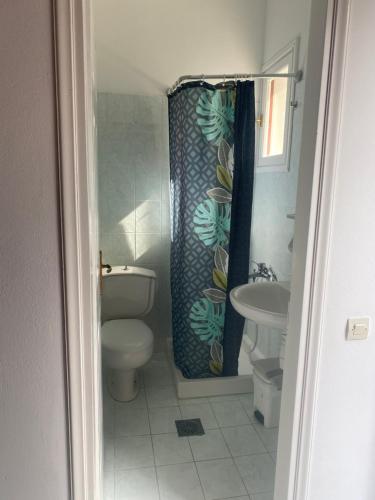 a bathroom with a toilet and a shower curtain at Trifilli in Lourdata