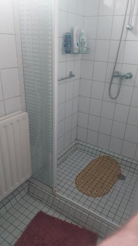 a bathroom with a shower with a rug on the floor at Brothers Homestay in Best