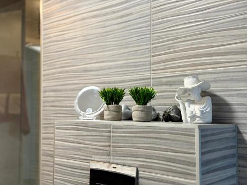 a shelf with plants and a hat on a wall at Eva's Penthouse with private Swimming pool by ELDI in Il-Gżira