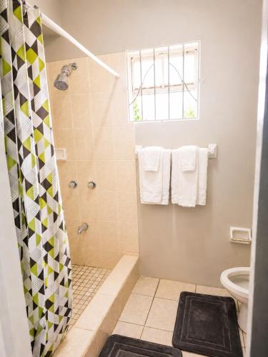 a bathroom with a shower and a toilet at Ocean Breeze Retreat in Basseterre
