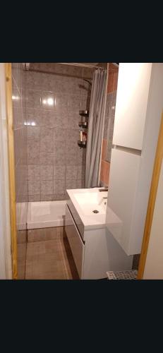 a bathroom with a shower and a white sink at Casse blanche in Orcières