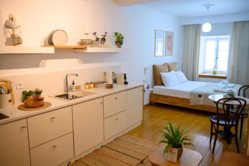 a kitchen and living room with a bed in the background at BougainVilla in Vonitsa