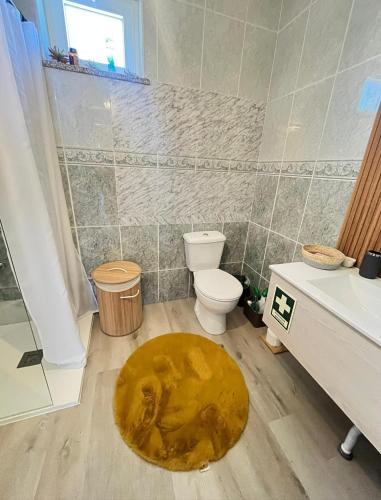 a bathroom with a toilet and a rug on the floor at Casa da Susy do Alvão in Vila Real