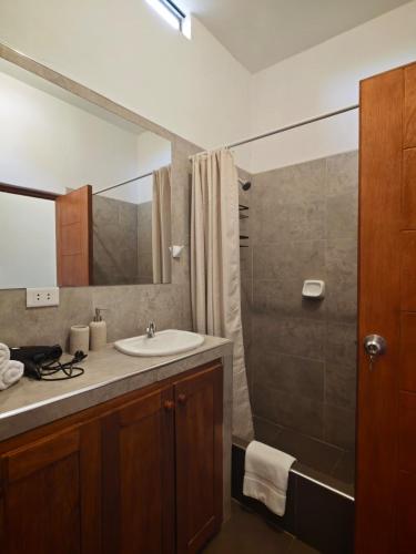 a bathroom with a sink and a shower at La Casita de Kevin in Los Órganos