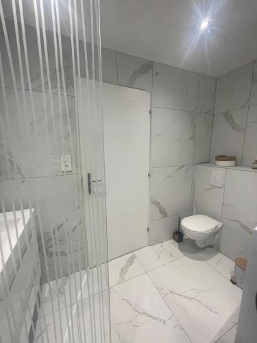 a white bathroom with a toilet and a shower at Le 3eme Mistral in Molsheim