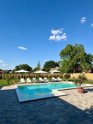a swimming pool with chairs and umbrellas at Eko Apartmani in Bački Petrovac