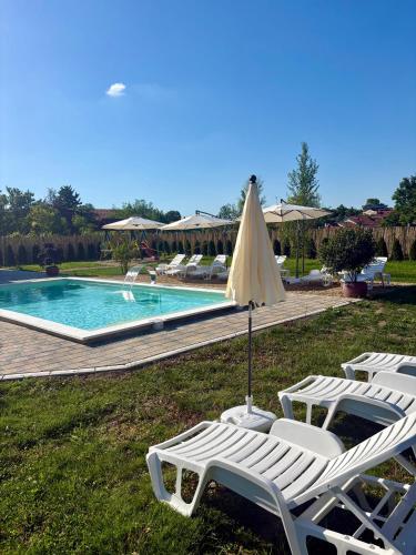 a group of lawn chairs and an umbrella next to a pool at Eko Apartmani in Bački Petrovac