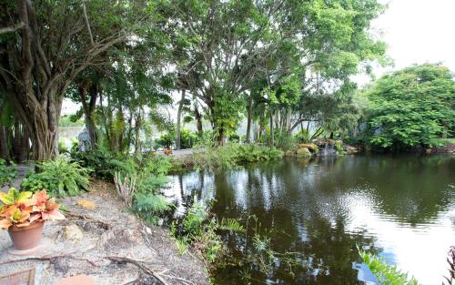 a body of water with trees and a river at Sanibel Island Beach Resort in Sanibel