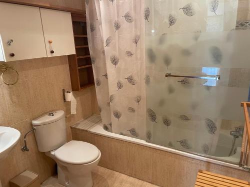 a bathroom with a toilet and a shower at Apartamento en el Edificio Barlovento, situado en el centro de Alcossebre, a 150m del mar in Alcossebre